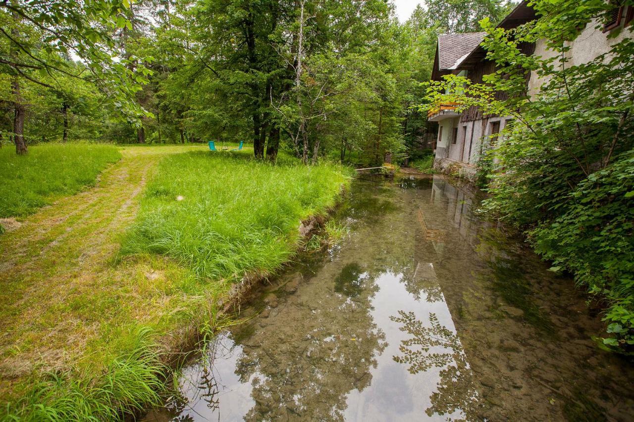 Apartament Pr'Cajhn Radovljica Zewnętrze zdjęcie